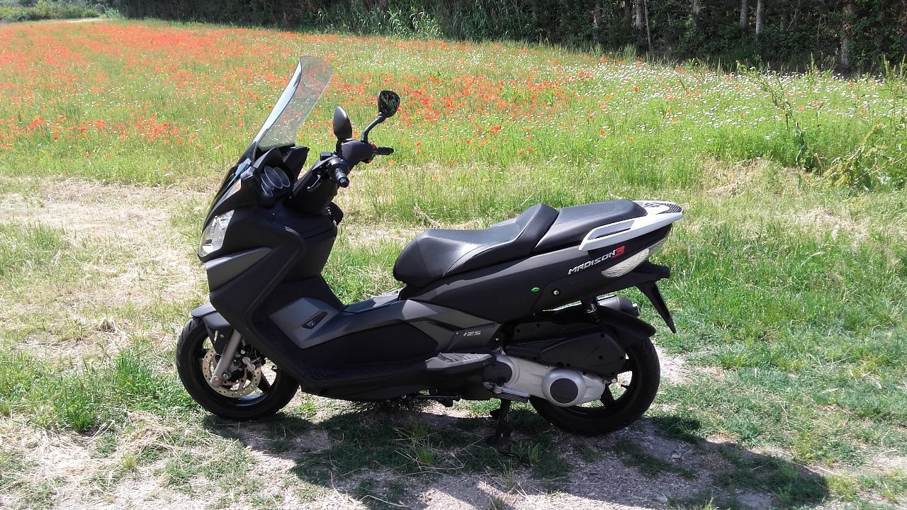 Photo MALAGUTI MADISON 3