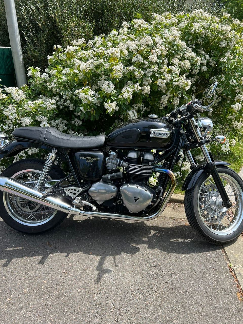 Photo TRIUMPH THRUXTON