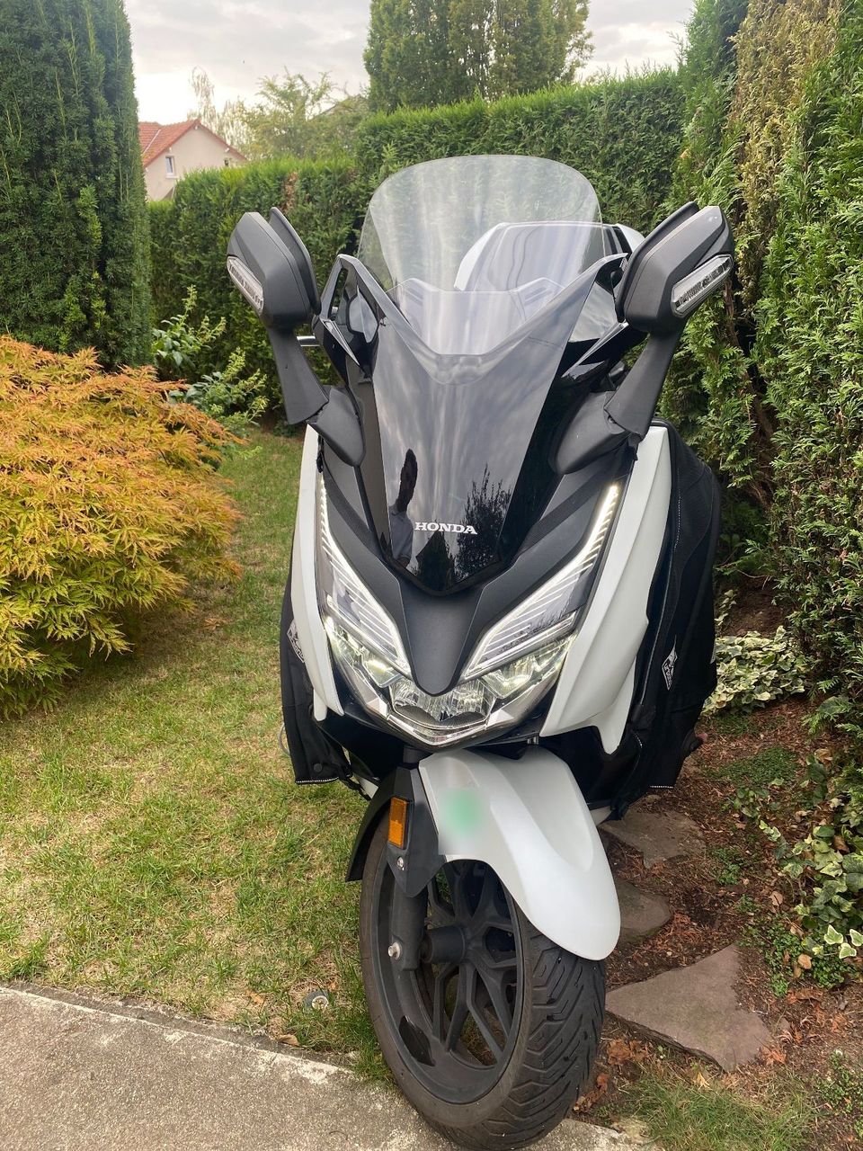 Photo HONDA FORZA 125