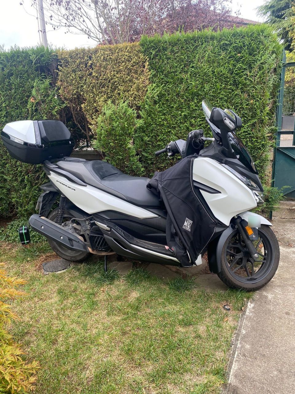 Photo HONDA FORZA 125