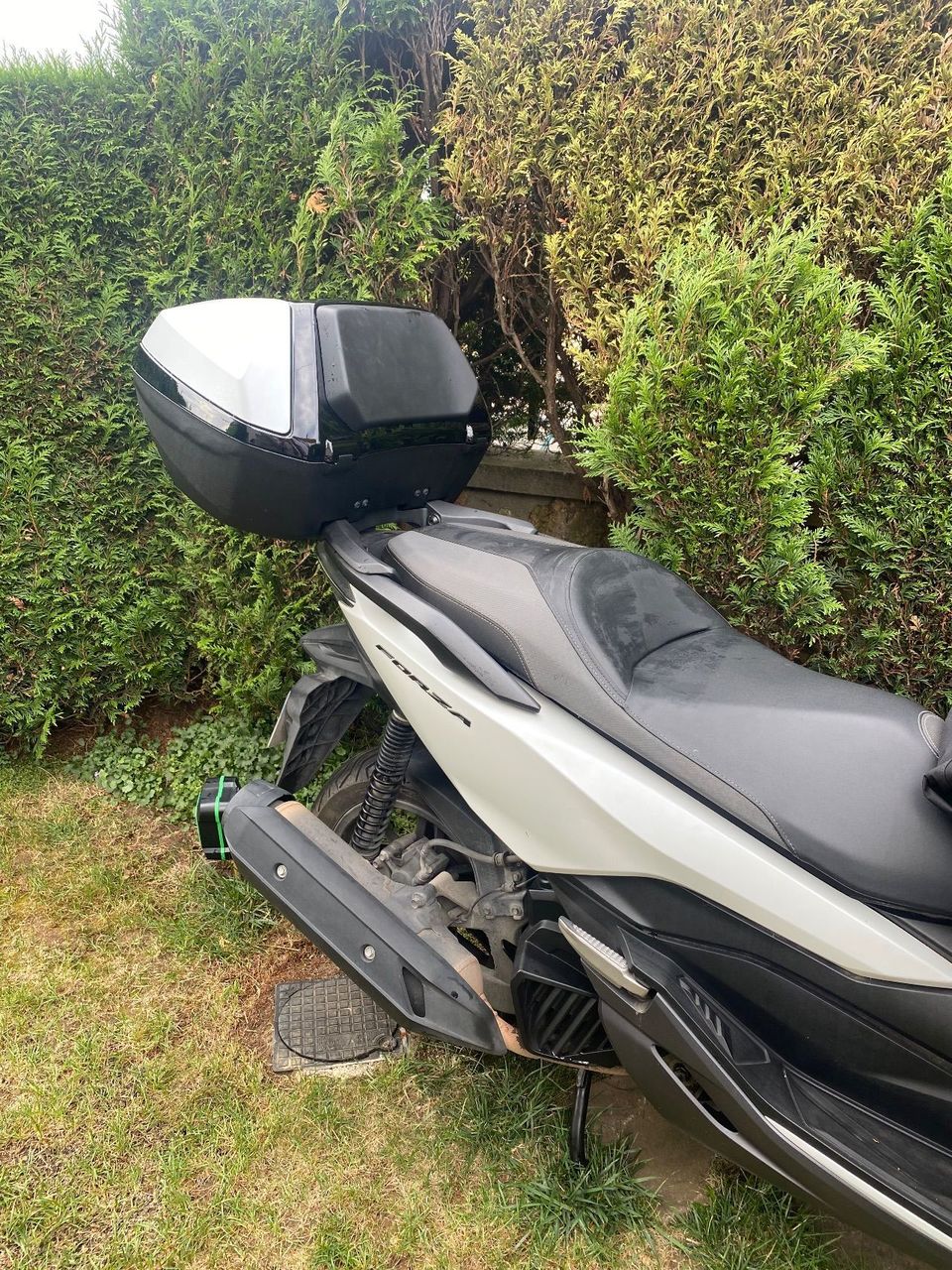 Photo HONDA FORZA 125