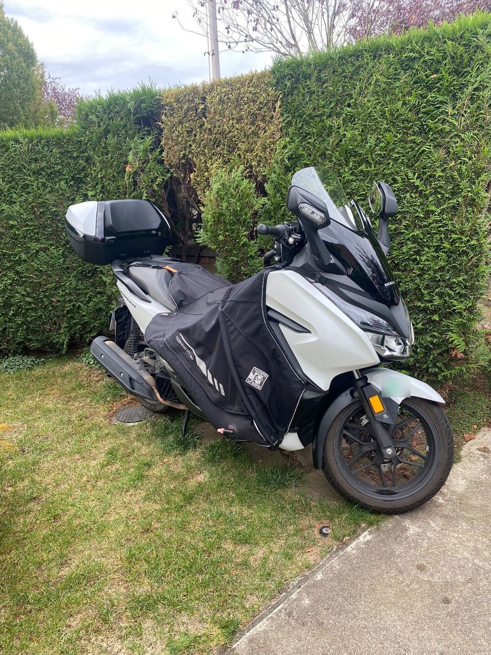 Photo HONDA FORZA 125
