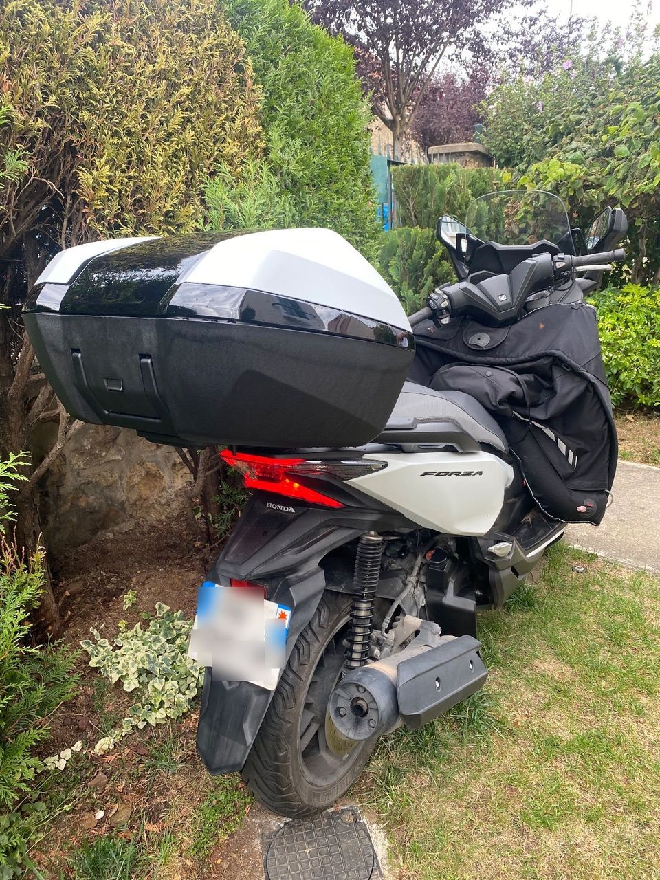Photo HONDA FORZA 125