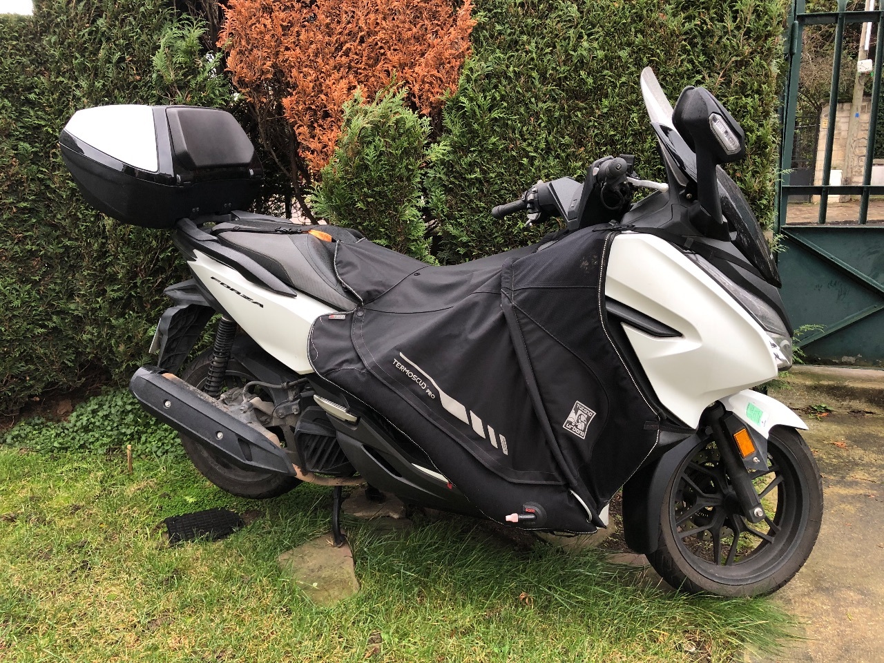 Photo HONDA FORZA 125