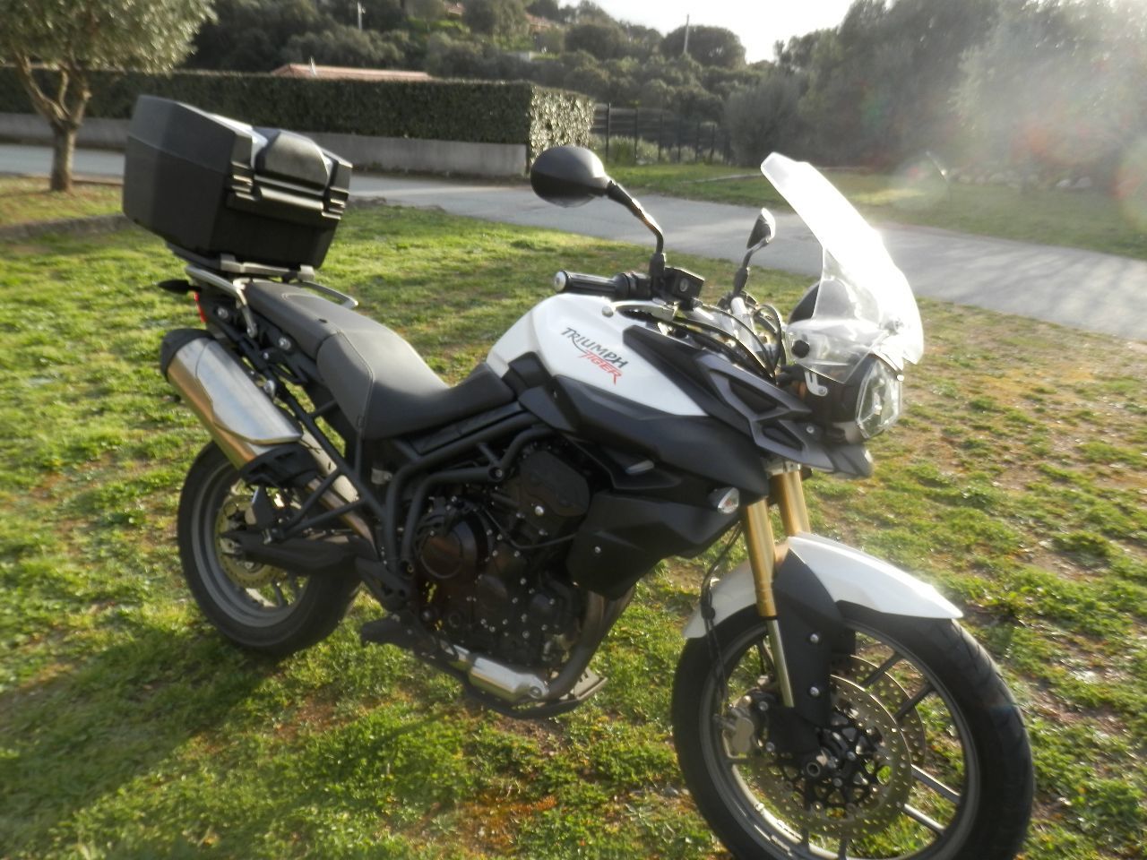 Photo TRIUMPH TIGER