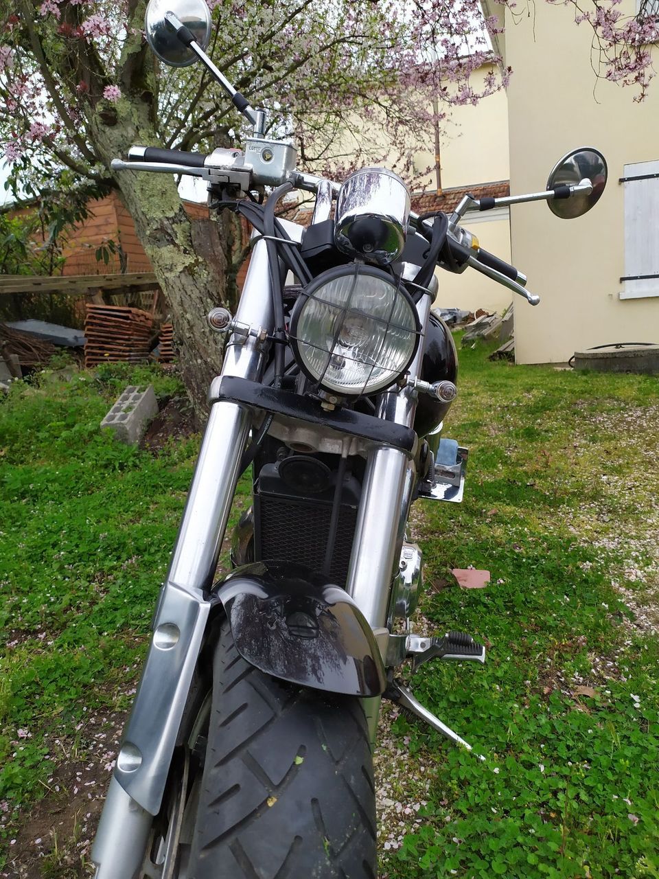 Photo SUZUKI MARAUDER 800