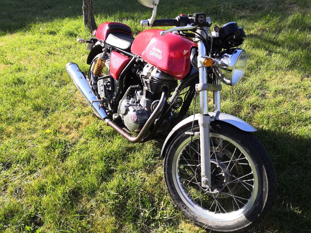 Photo ROYAL ENFIELD 550