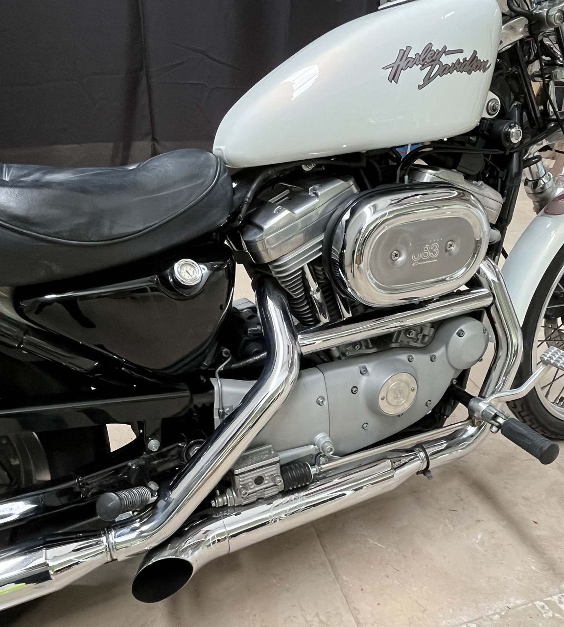 Photo HARLEY DAVIDSON 883