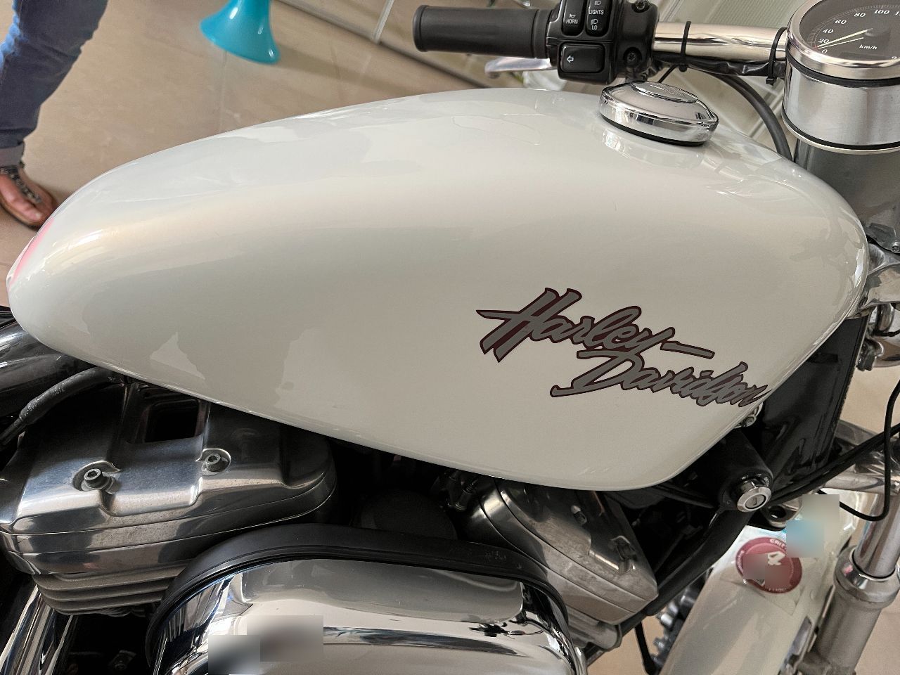 Photo HARLEY DAVIDSON 883