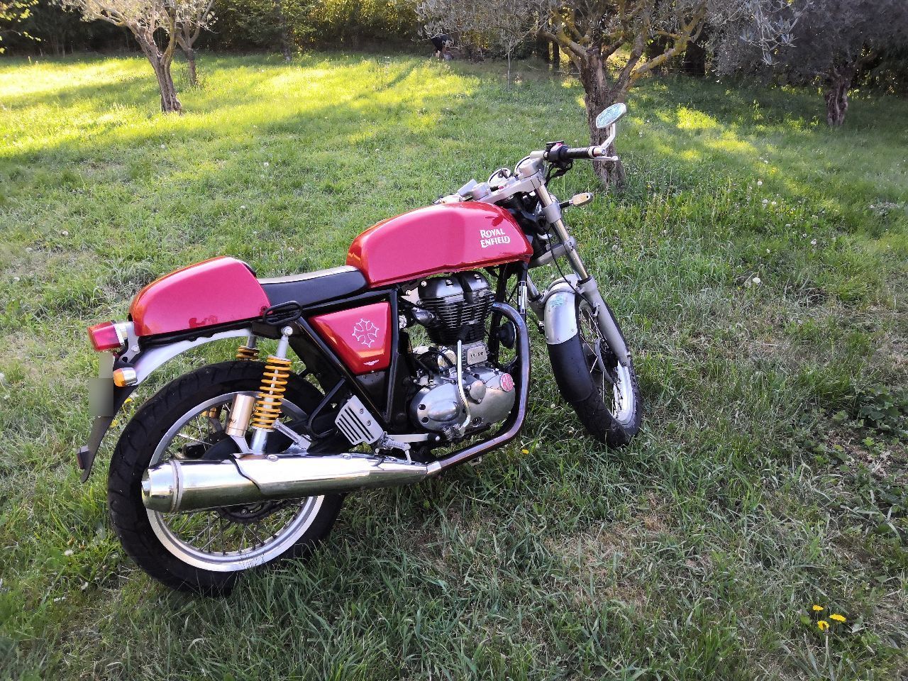 Photo ROYAL ENFIELD 550