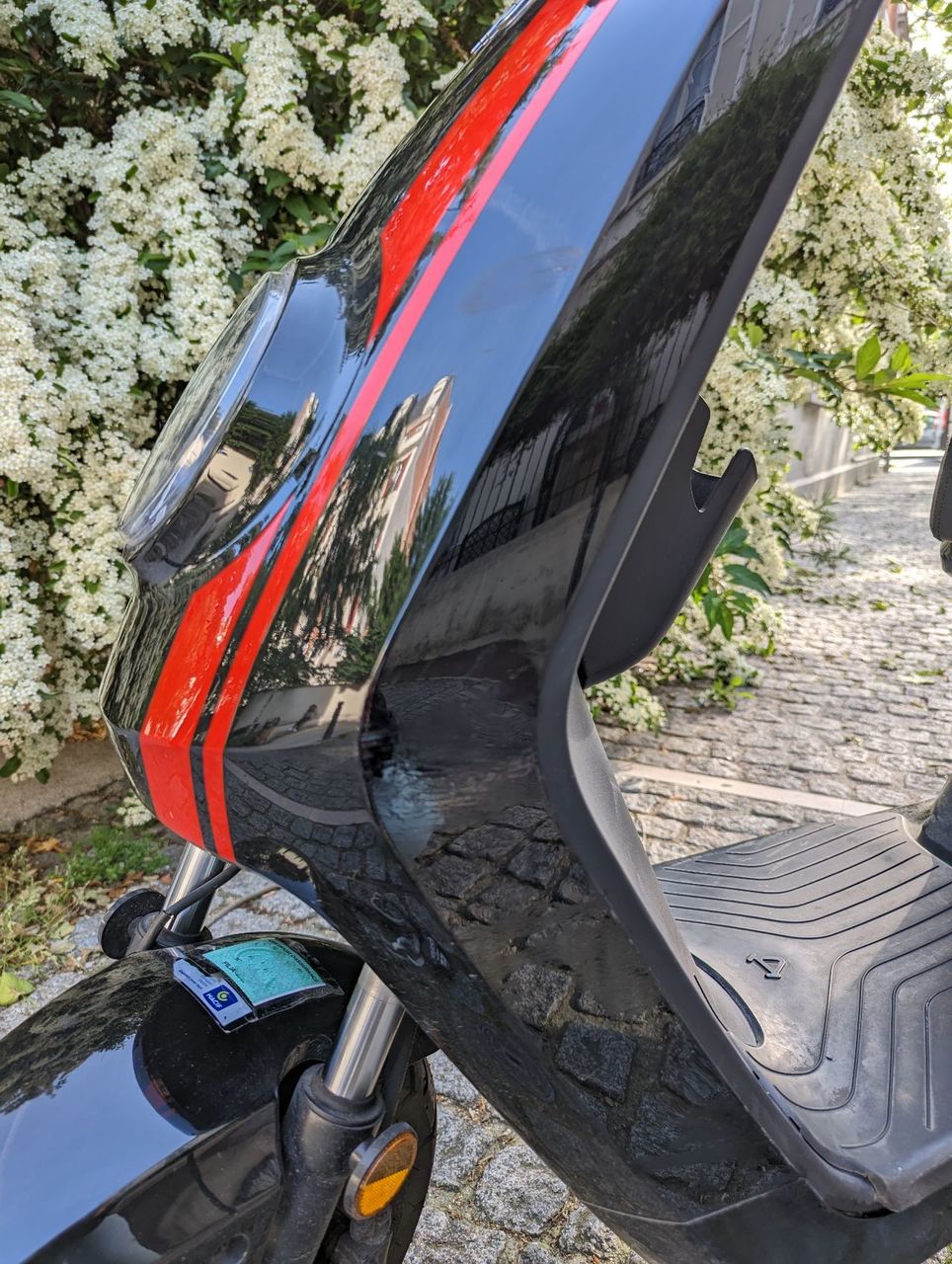 Photo NIU MQI + SPORT 50