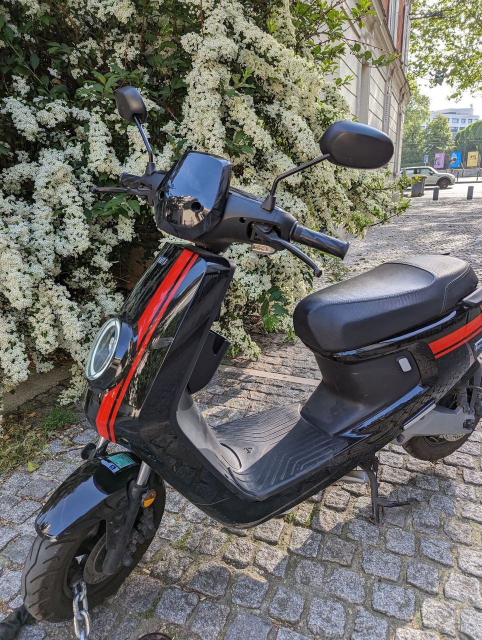 Photo NIU MQI + SPORT 50