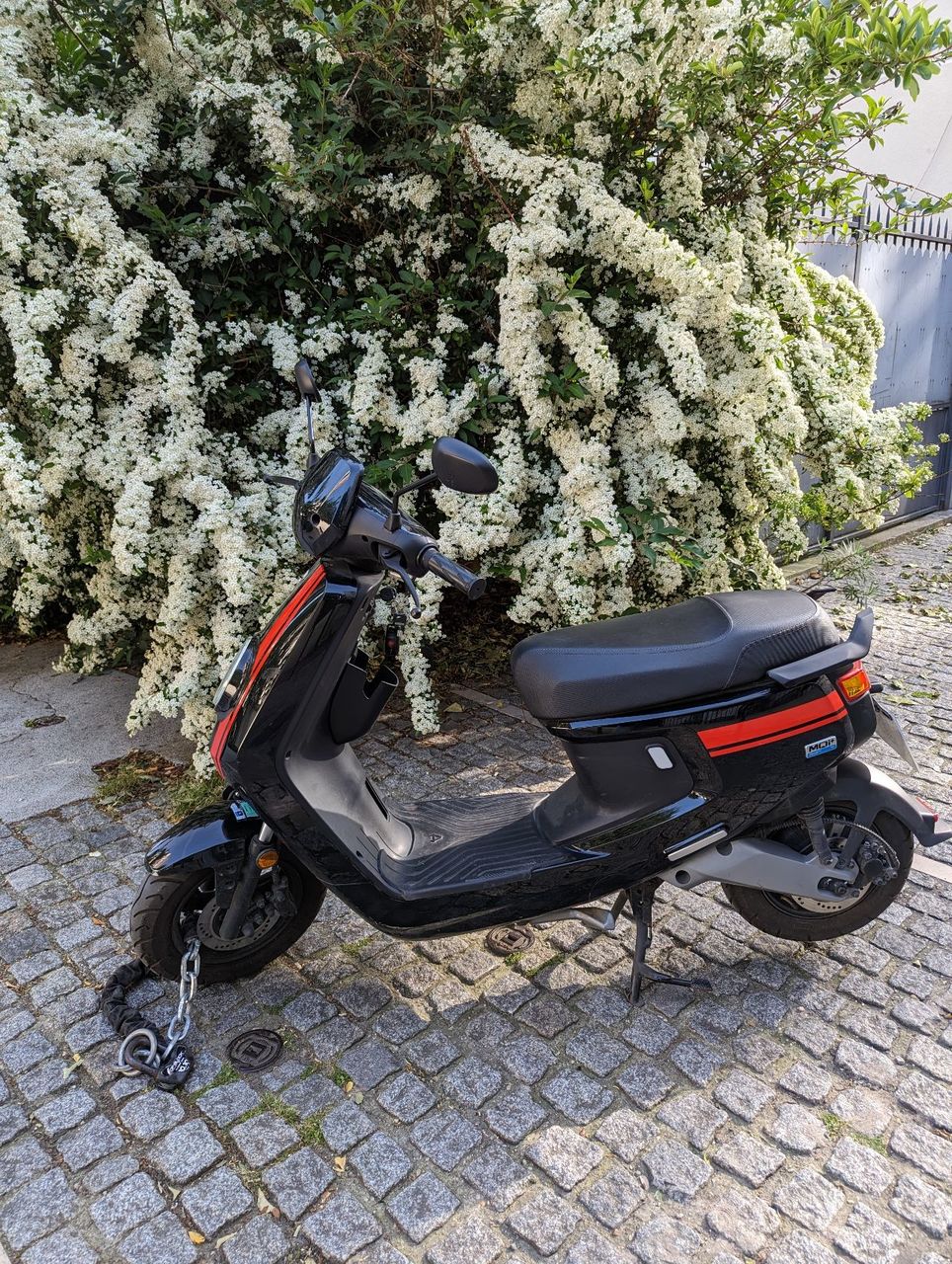 Photo NIU MQI + SPORT 50