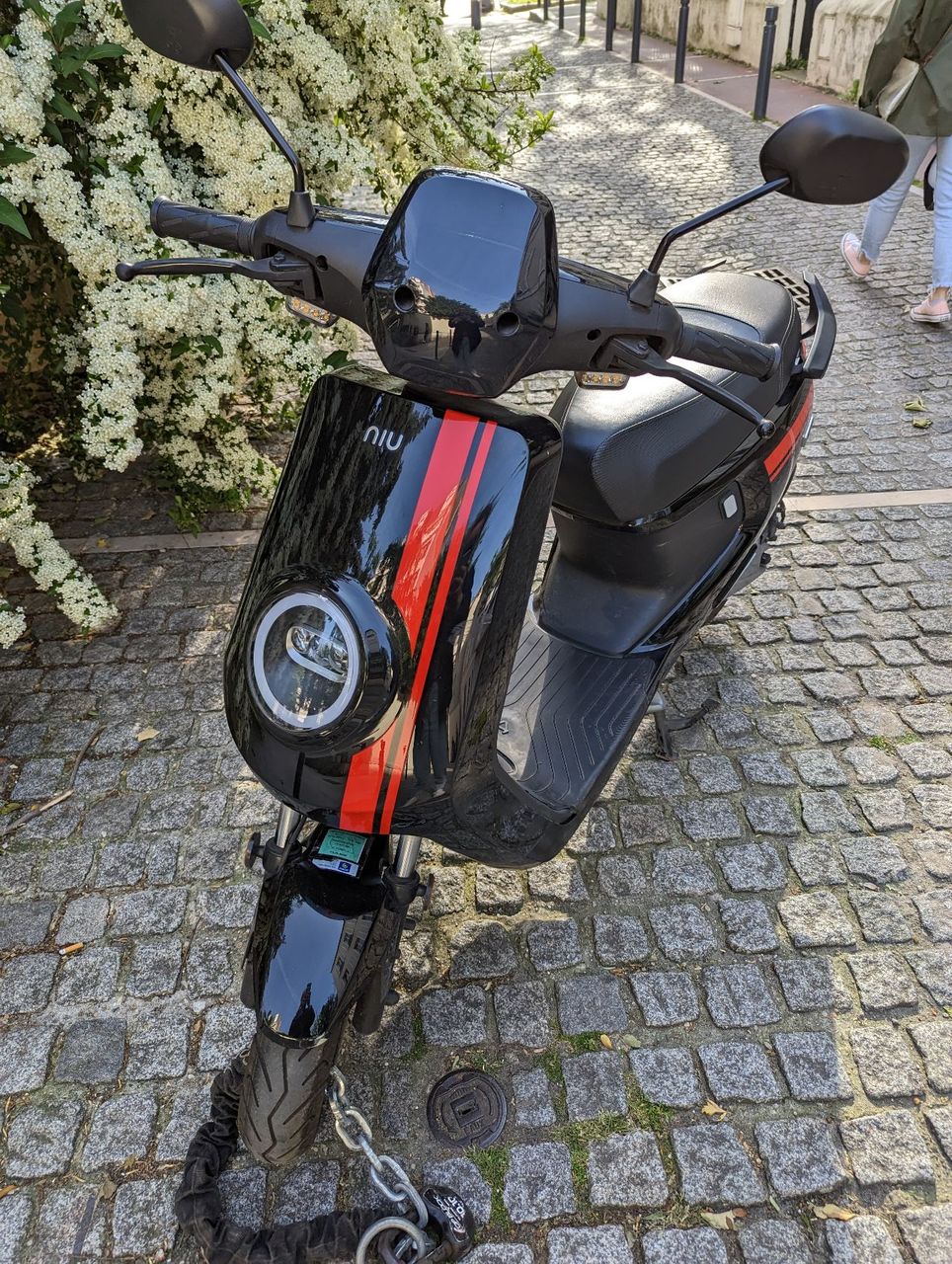 Photo NIU MQI + SPORT 50