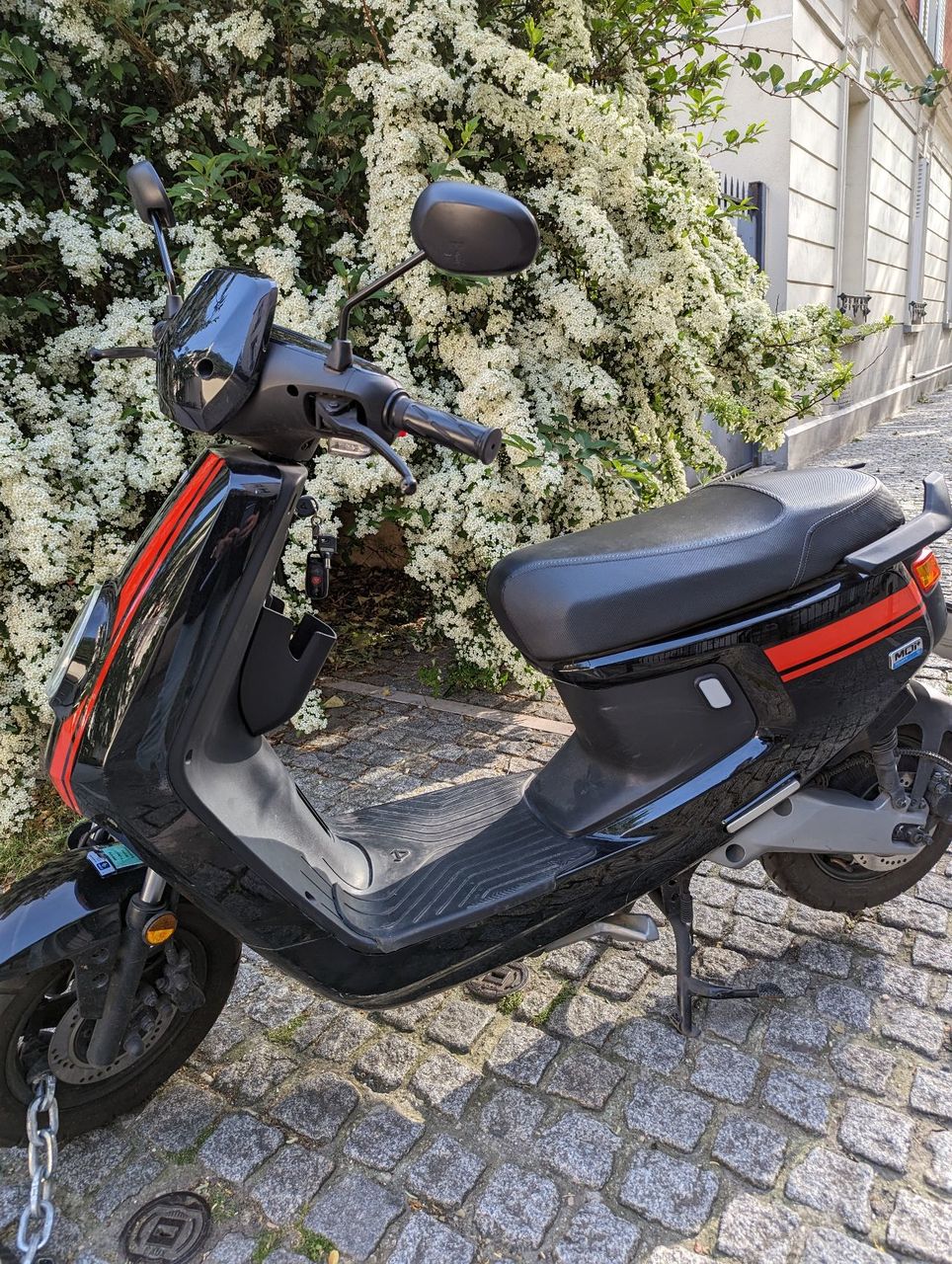 Photo NIU MQI + SPORT 50