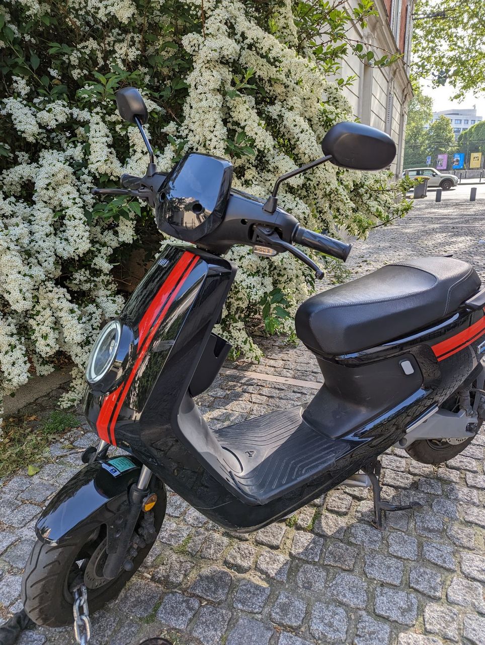 Photo NIU MQI + SPORT 50