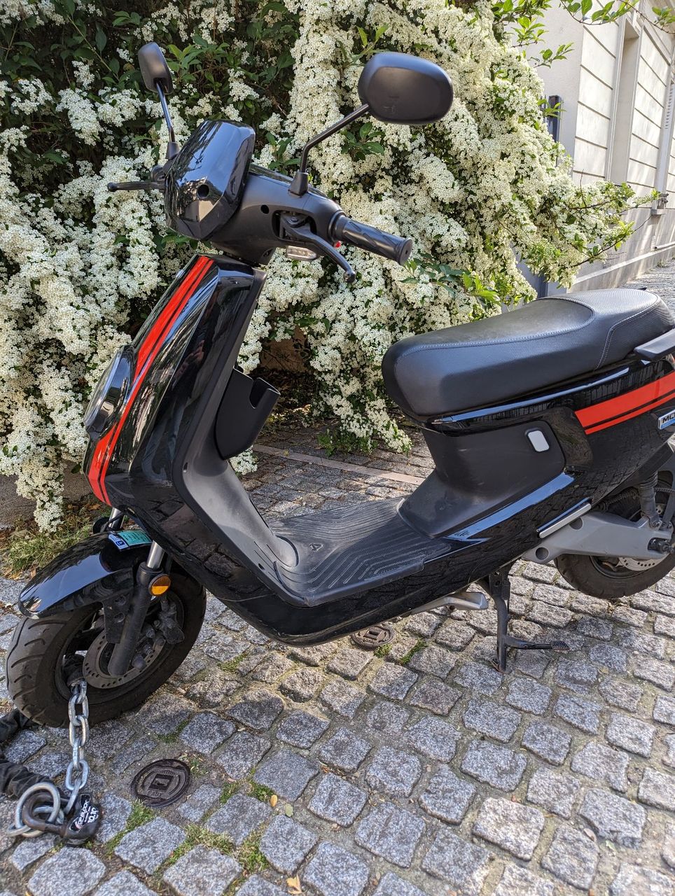 Photo NIU MQI + SPORT 50