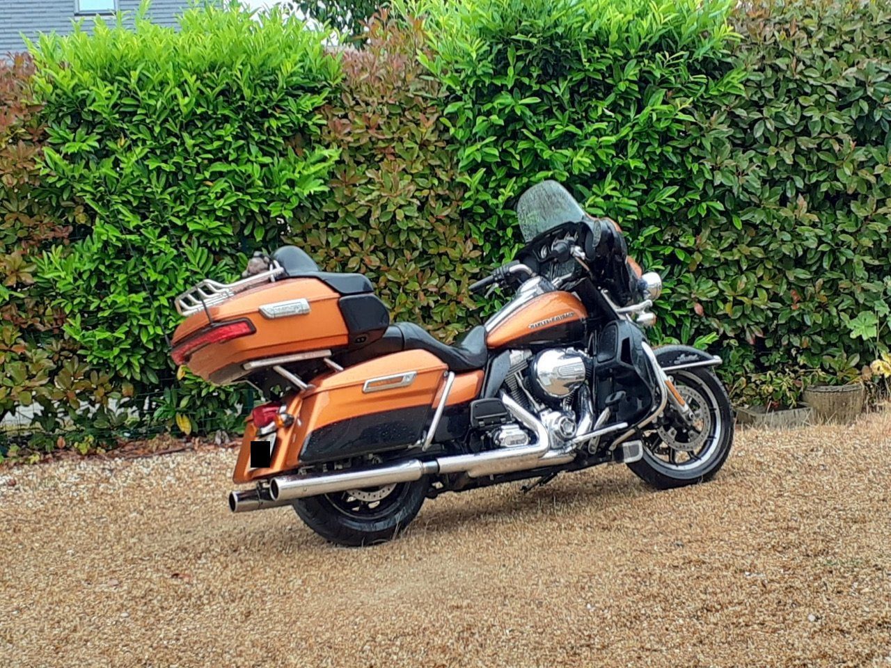 Photo HARLEY DAVIDSON FLH