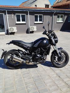 BENELLI LEONCINO 500