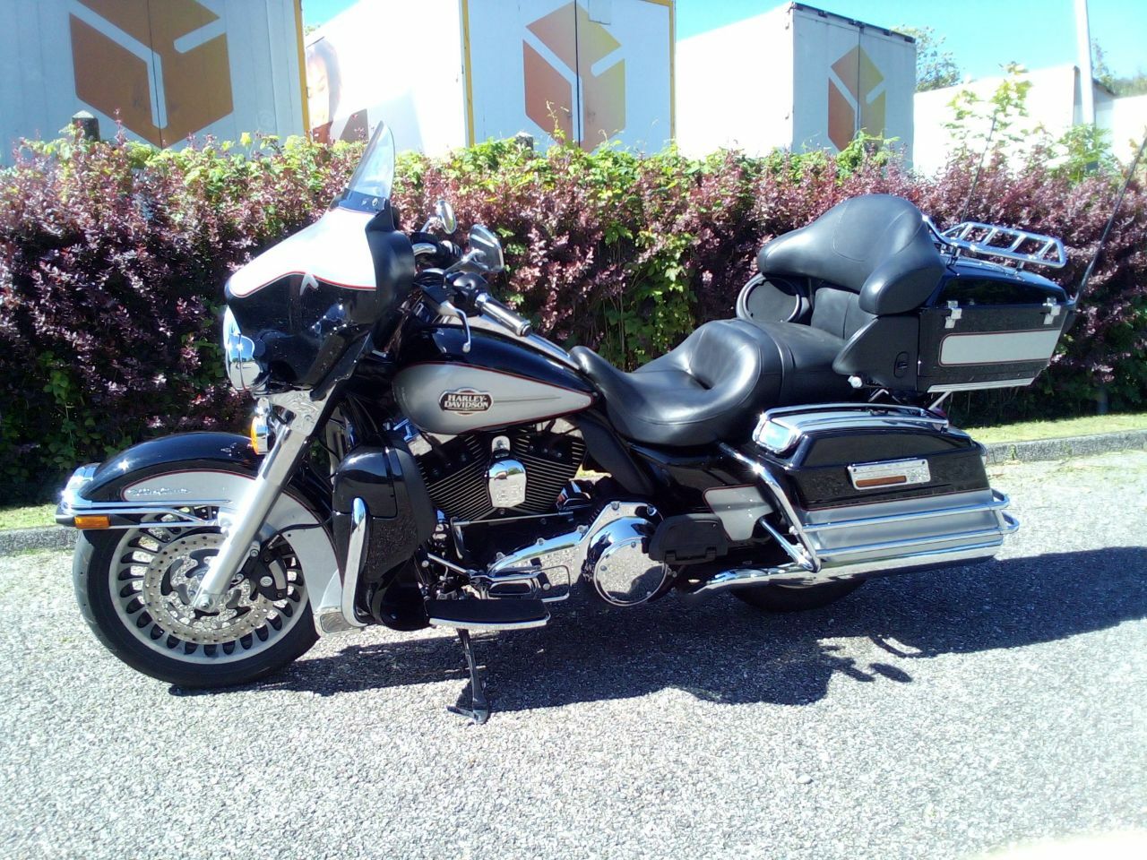 Photo HARLEY DAVIDSON FLH