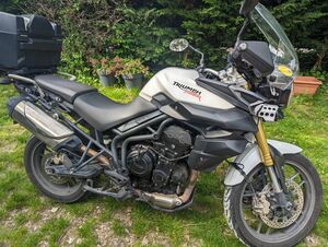 TRIUMPH TIGER 800