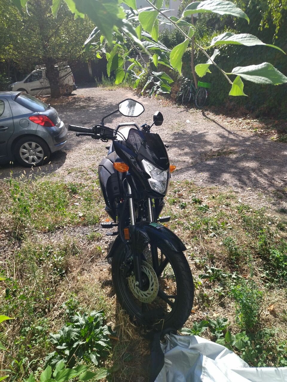 Photo HONDA CBF 125 M
