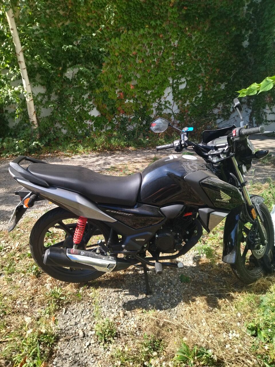 Photo HONDA CBF 125 M