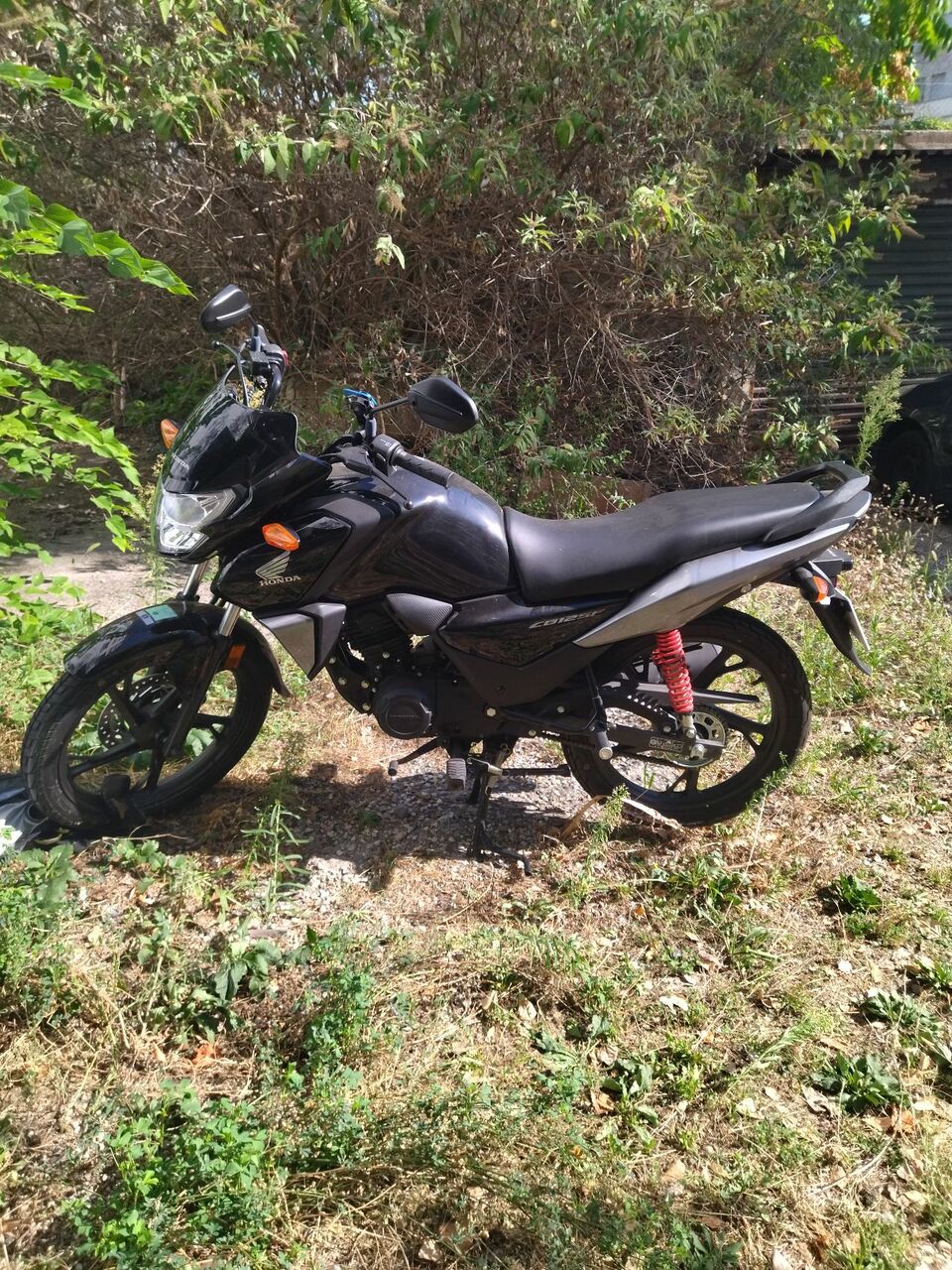 Photo HONDA CBF 125 M