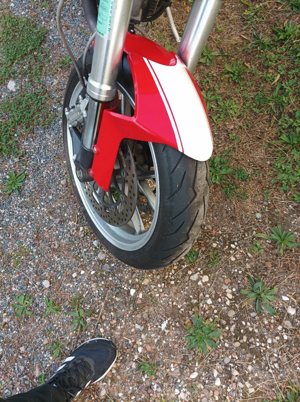 Photo DUCATI MONSTER 1100