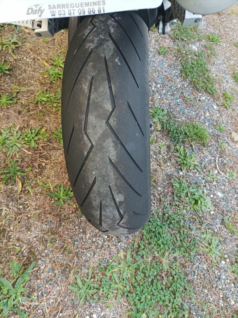 Photo DUCATI MONSTER 1100