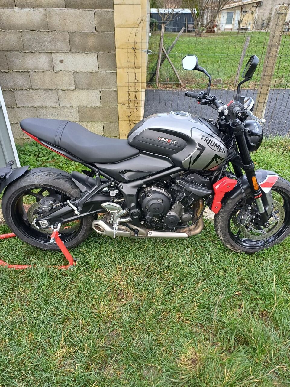 Photo TRIUMPH TRIDENT 660