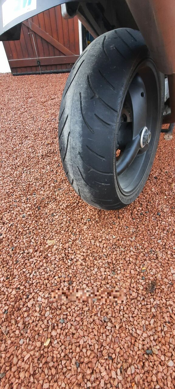 Photo TRIUMPH 955 I ST