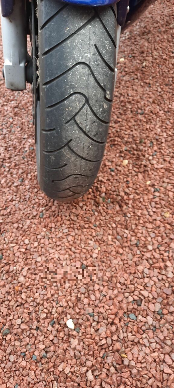 Photo TRIUMPH 955 I ST