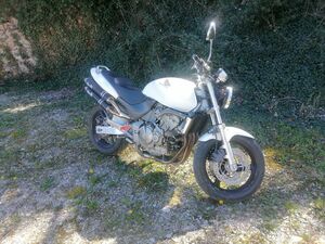 HONDA HORNET 600