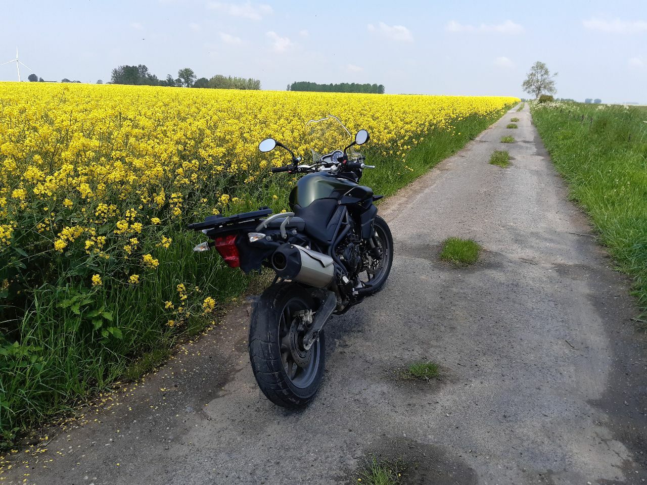 Photo TRIUMPH TIGER 800