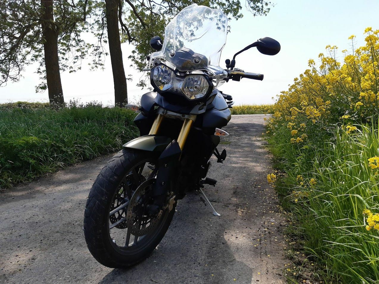 Photo TRIUMPH TIGER 800
