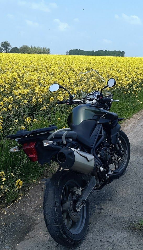 Photo TRIUMPH TIGER 800