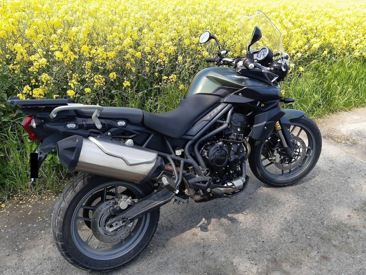 Photo TRIUMPH TIGER 800