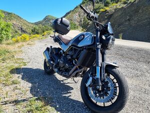 BENELLI LEONCINO 500