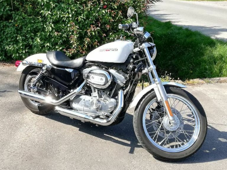 Photo HARLEY DAVIDSON 883