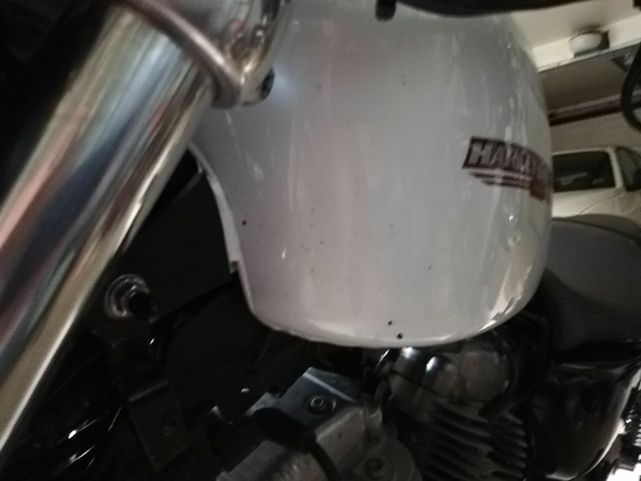 Photo HARLEY DAVIDSON 883