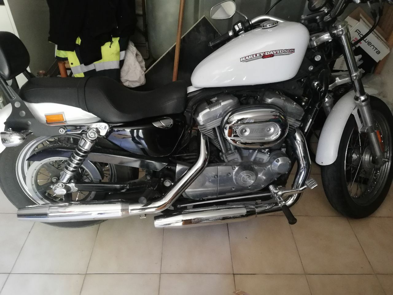 Photo HARLEY DAVIDSON 883