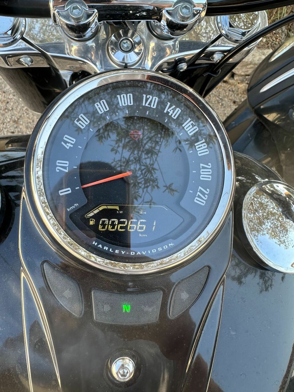 Photo HARLEY DAVIDSON FLSL