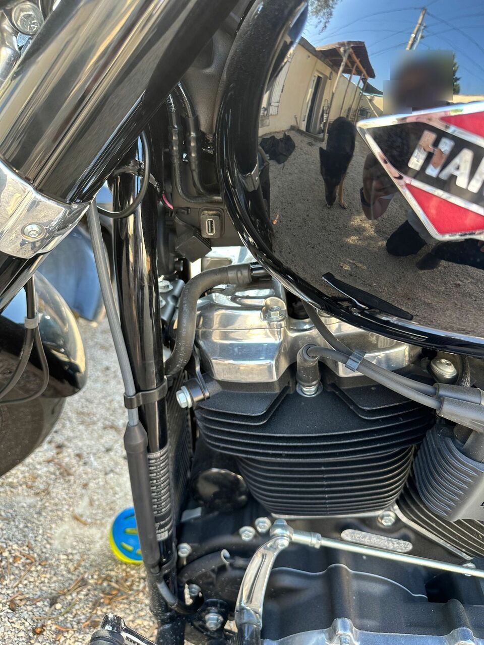 Photo HARLEY DAVIDSON FLSL