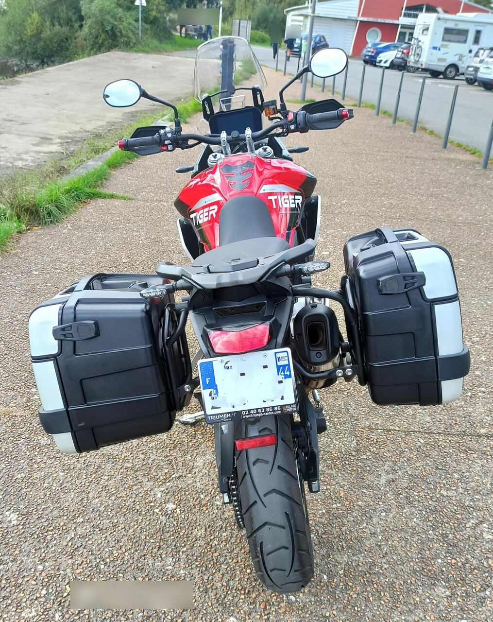 Photo TRIUMPH TIGER 900 GT