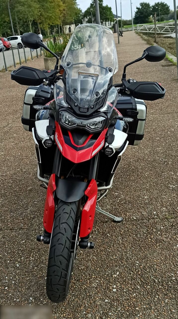 Photo TRIUMPH TIGER 900 GT