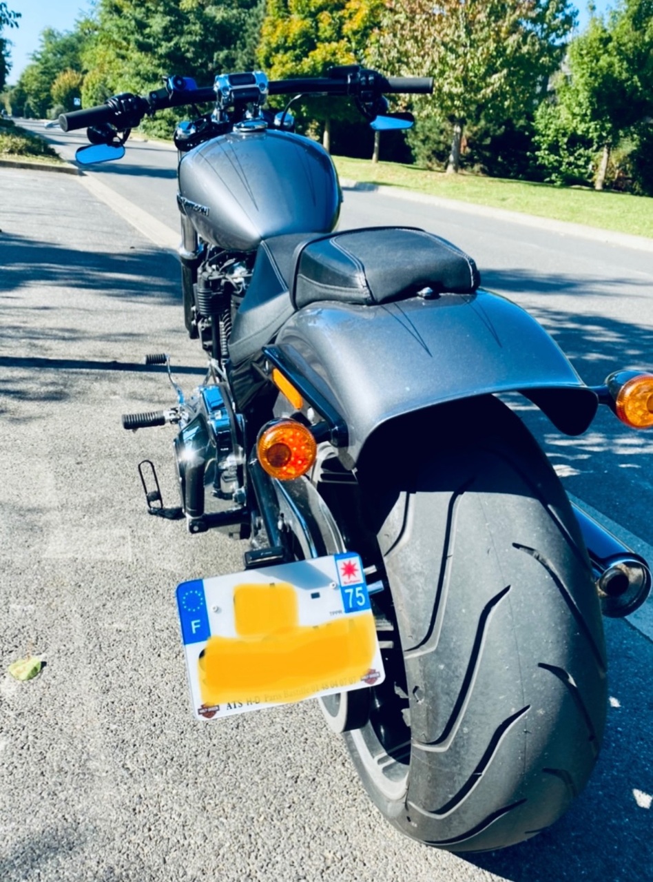 Photo HARLEY DAVIDSON FXBRS