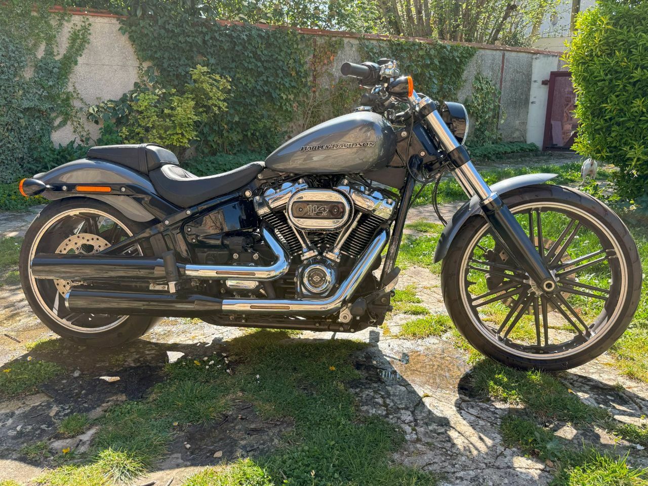 Photo HARLEY DAVIDSON FXBRS