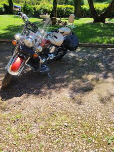 YAMAHA DRAGSTAR 650 YAMAHA DRAGSTAR 650