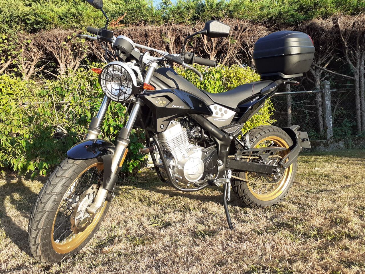 Photo RIEJU TANGO 125